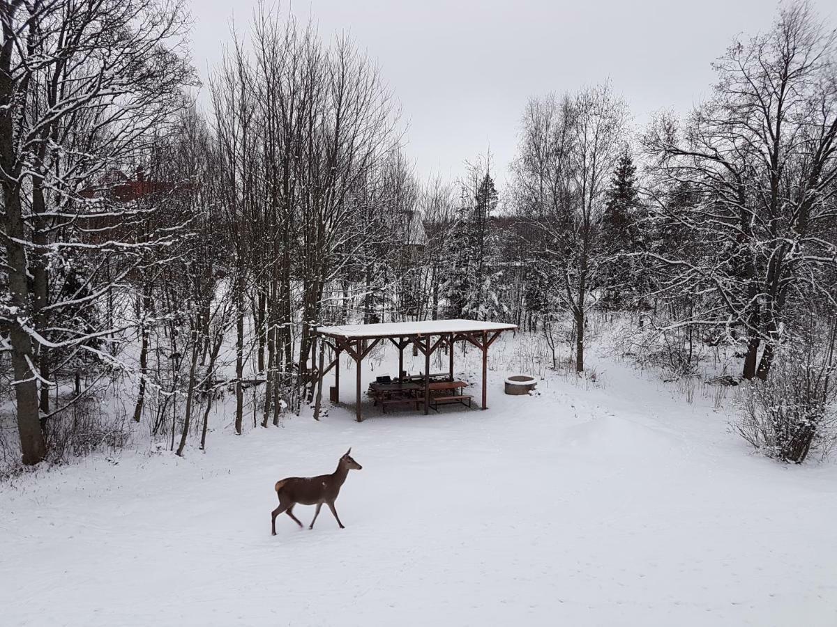 Vila Valeria Tatranská Lomnica Exteriér fotografie